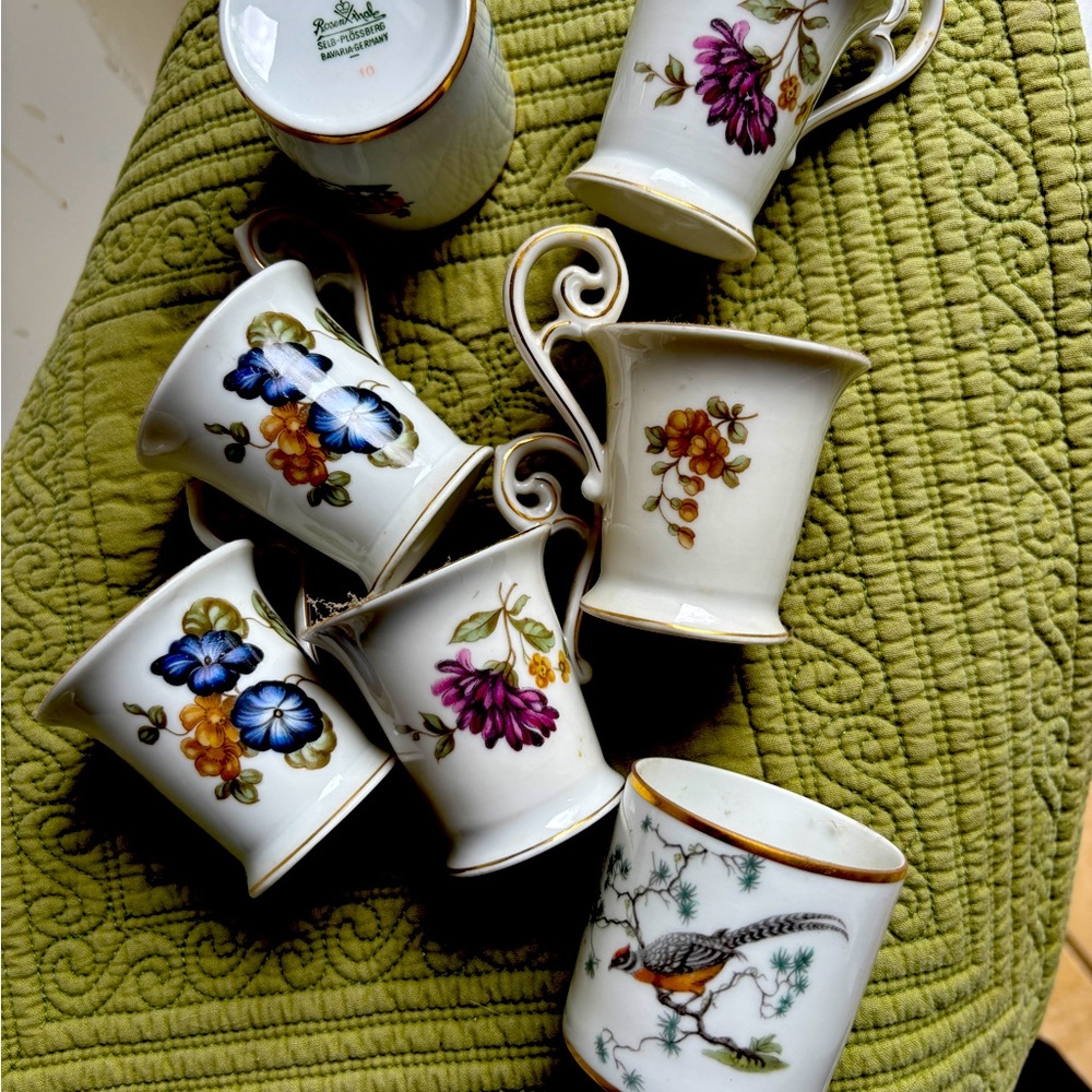 Rosenthal Five White Elegant Floral Demitasse Cups & Two Peacock with plates